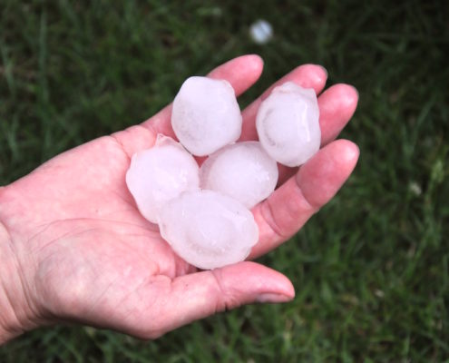 Hail Union Richland Reeves